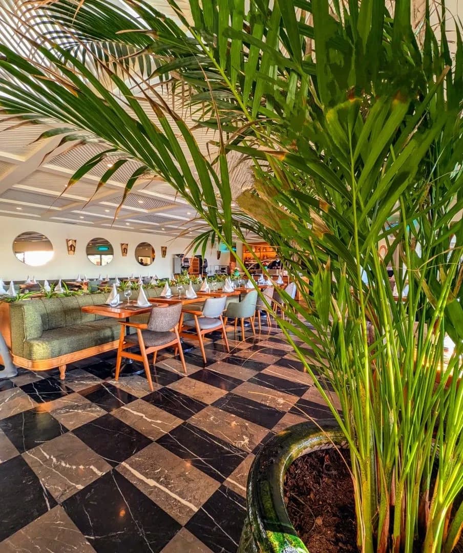 Restaurant OLIVE TERRASSE